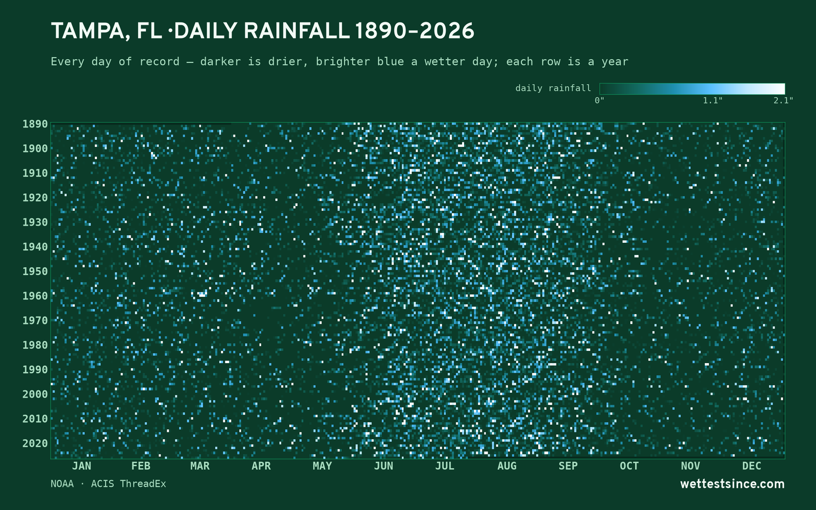 Tampa, FL — daily rainfall every day on record